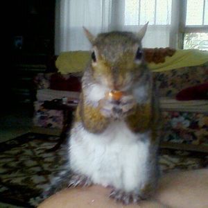 Meet your Posher, Phil